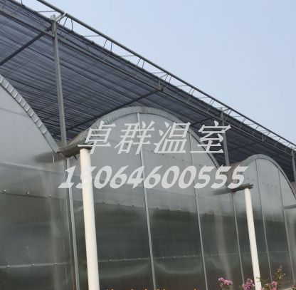 江蘇徐州連棟溫室